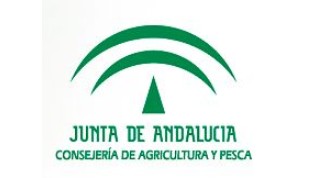 http://www.acofesal.org/NOTICIAS/logocap.jpg